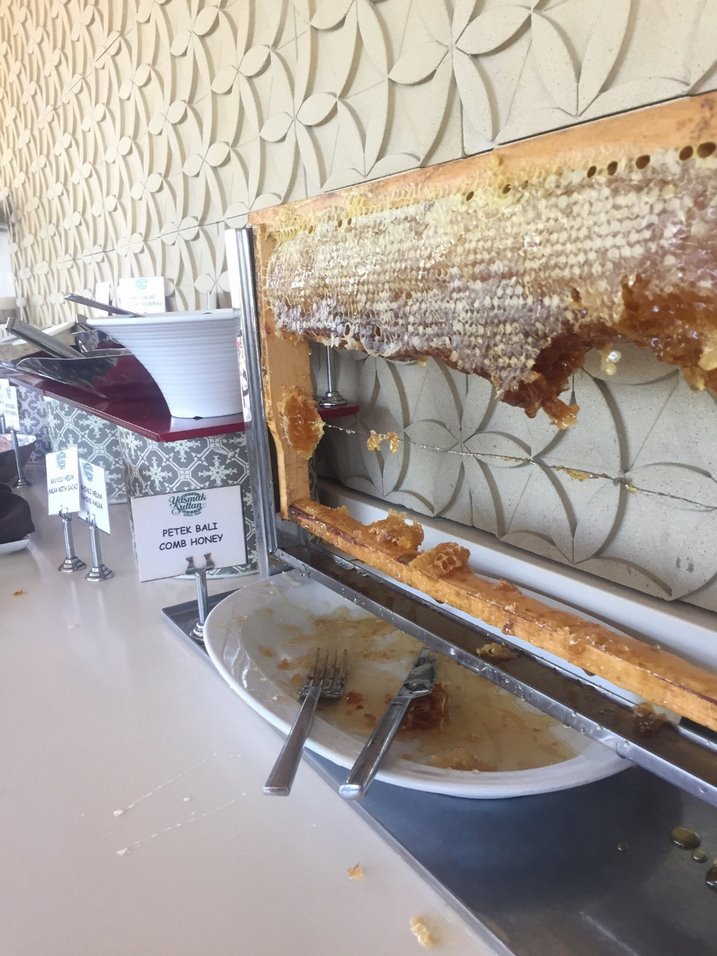 رستوران الیو آناتولیان استانبول